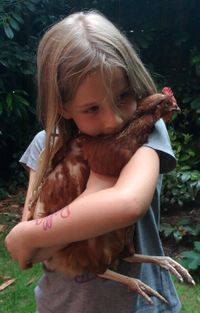 Ein M&auml;dchen mit langem Haar umarmt ein braunes Huhn